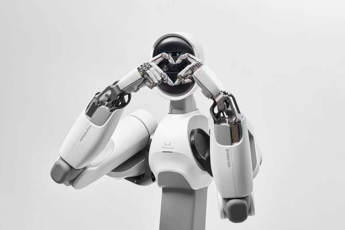 Humanoid robotic